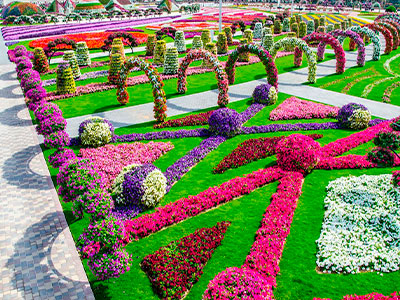  Miracle Garden